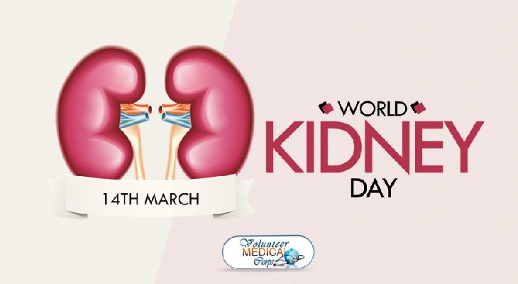 Fun Facts about the Kidneys