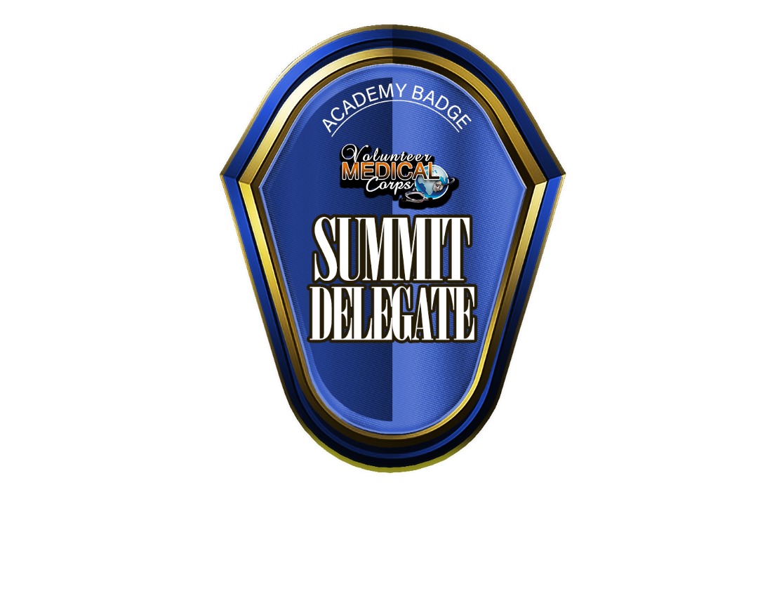 Summit Delegate